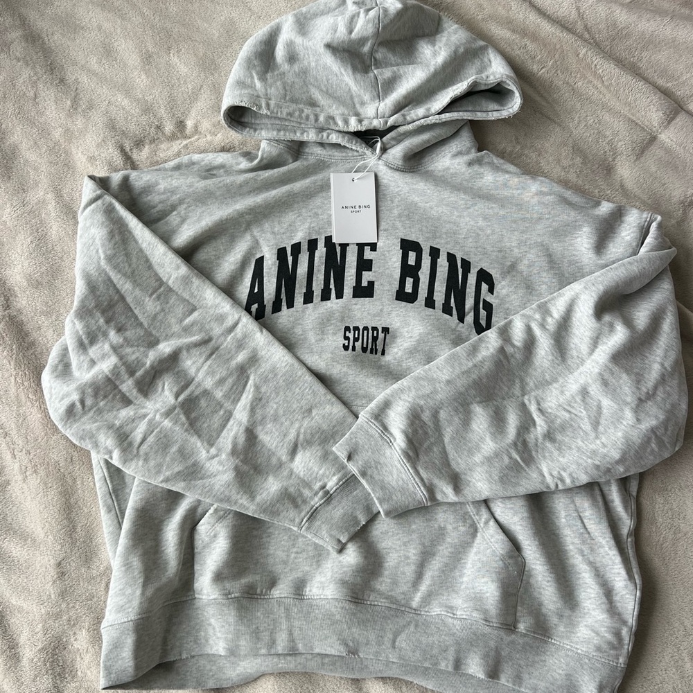 Anine Bing Harvey Hoodie
